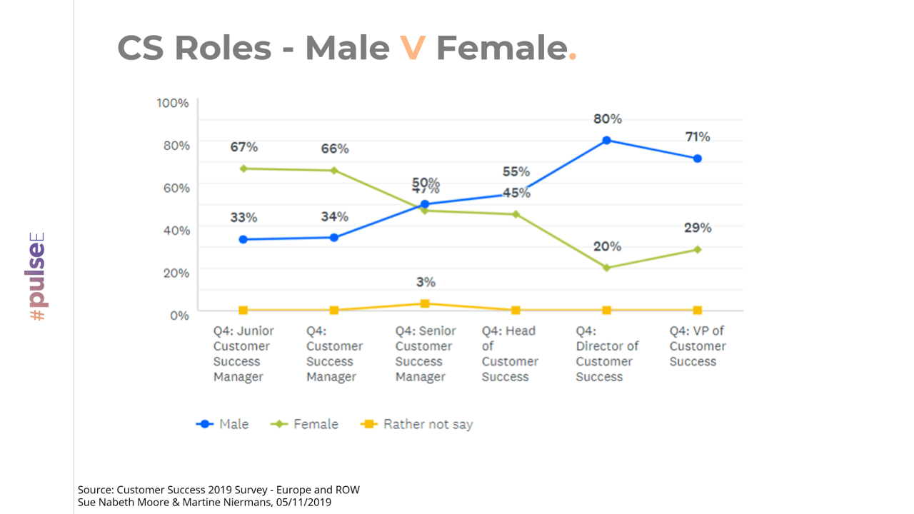 CS Roles - Diversity and Inclusion